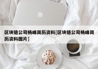 区块链公司杨峰简历资料[区块链公司杨峰简历资料图片]