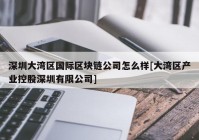 深圳大湾区国际区块链公司怎么样[大湾区产业控股深圳有限公司]